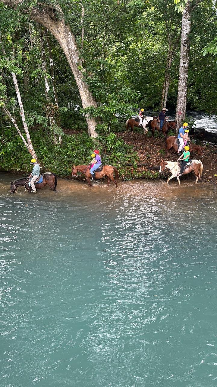 Cabalgata cruzando el río en Río Celeste