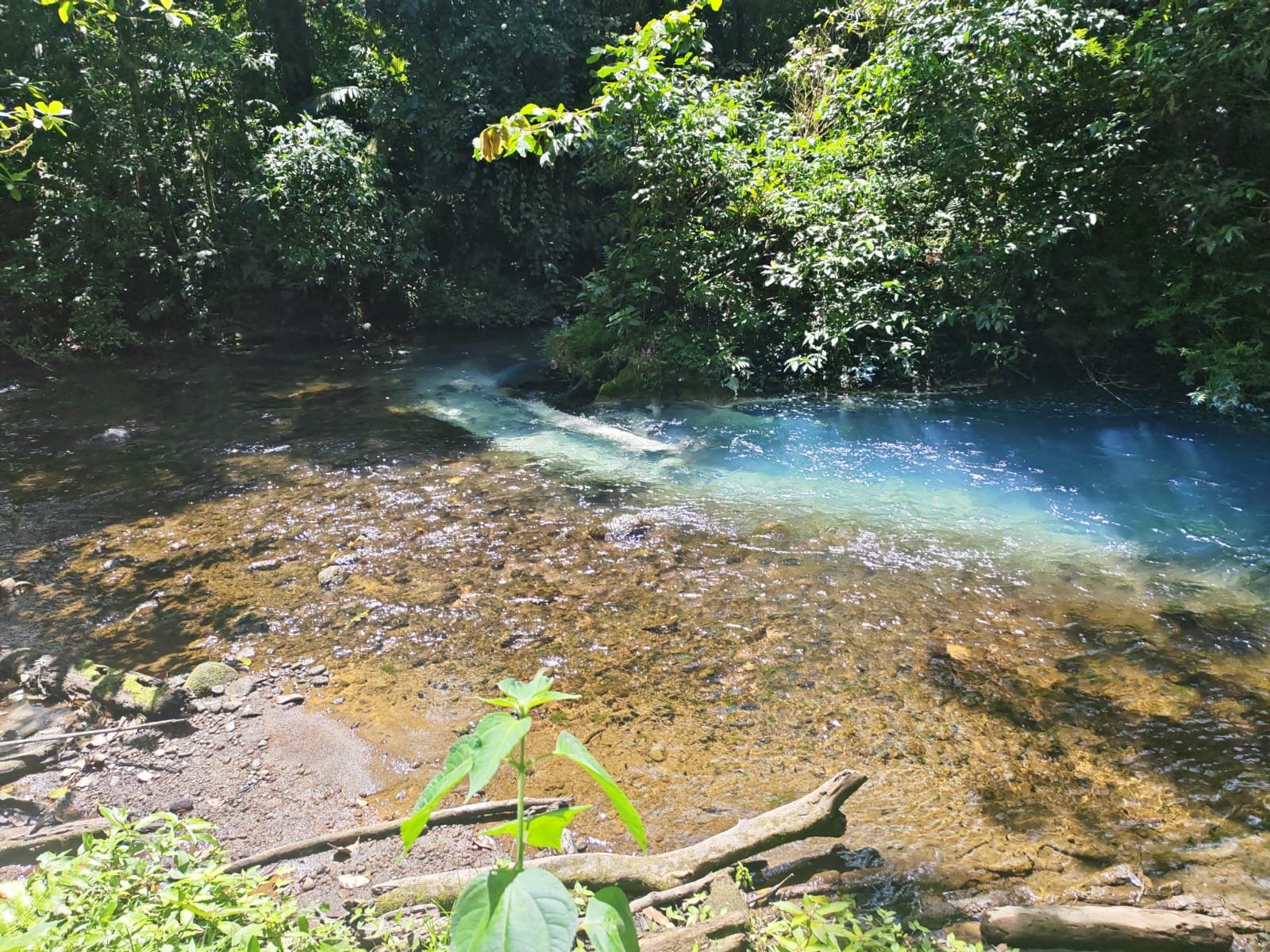 Caminata al Río Celeste