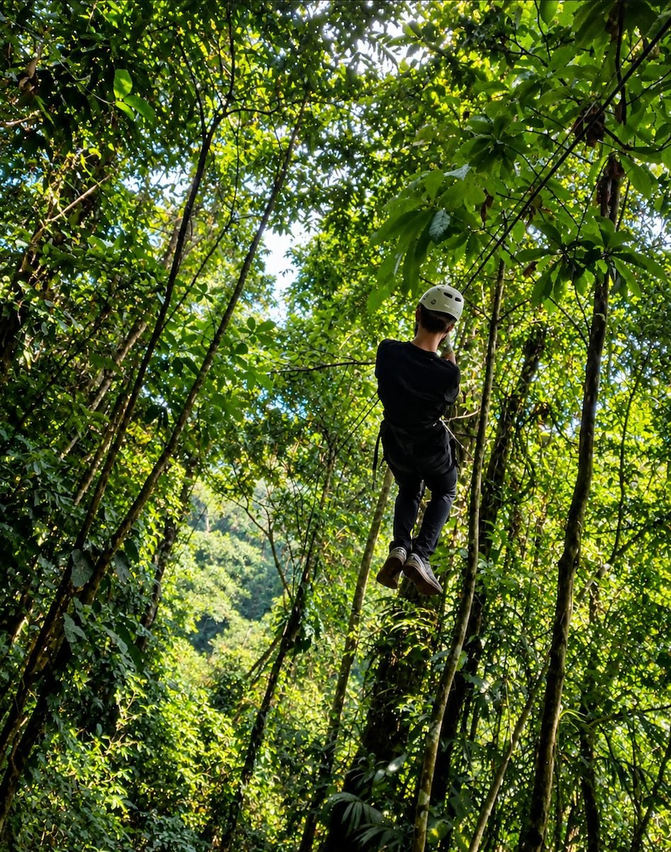 Plataforma de canopy entre los árboles
