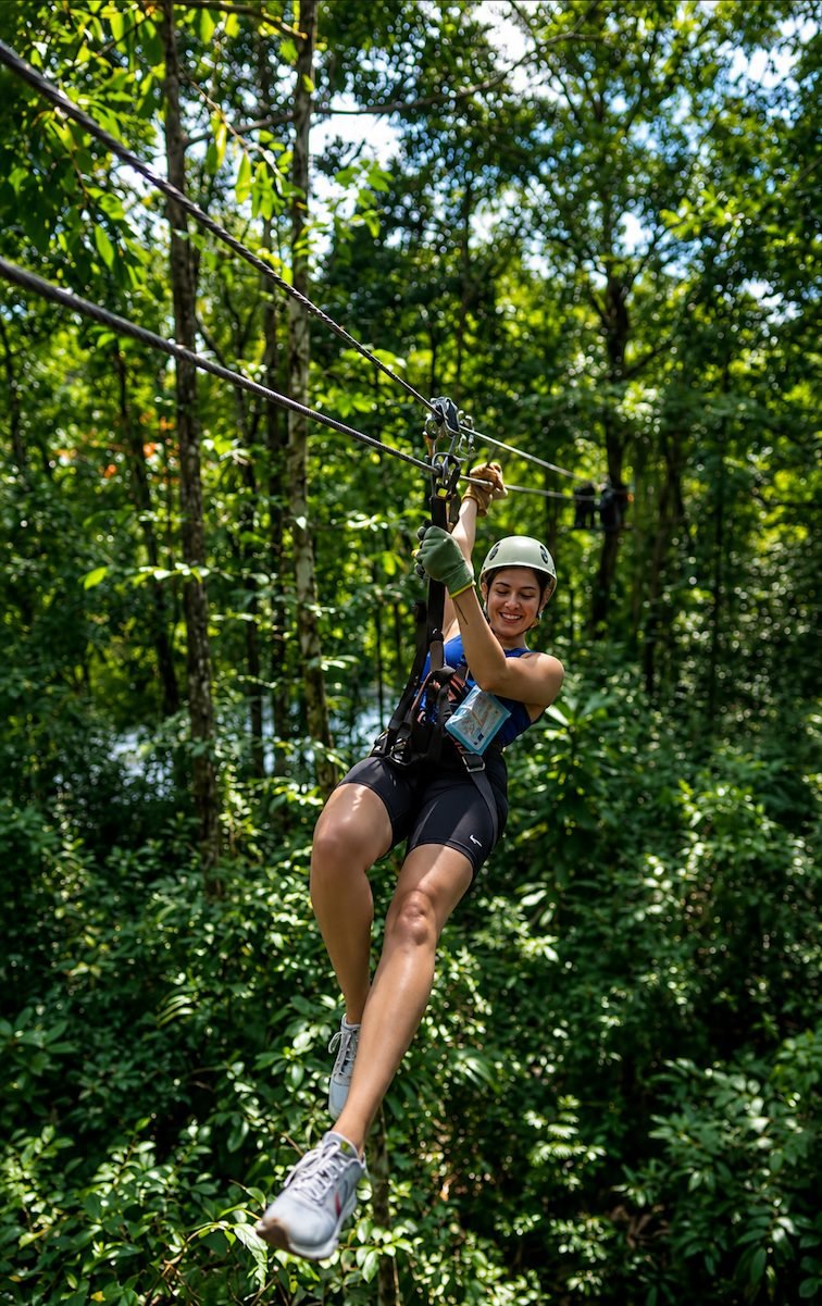 Zipline entre los árboles