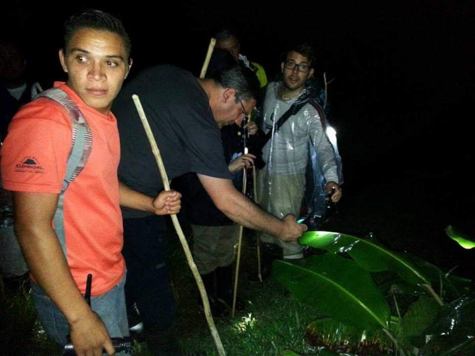 Tour nocturno en la selva